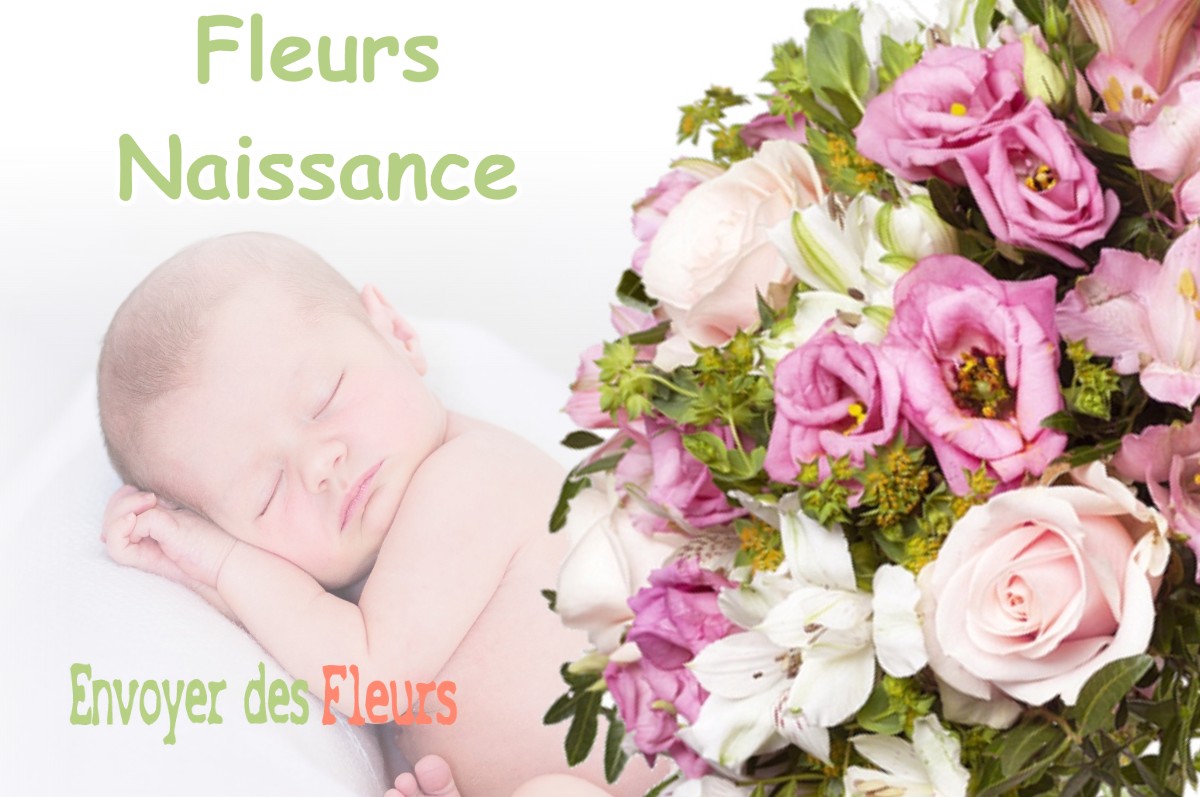 lIVRAISON FLEURS NAISSANCE à ROMAGNE-SOUS-MONTFAUCON